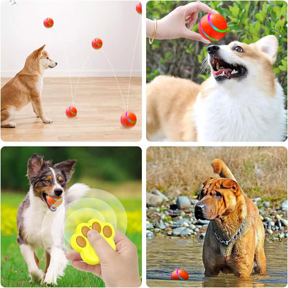 Interactive LED Flash Pet Ball for Dogs with Remote Control – Engaging Dog Toy with Flashing Lights for Active Playtime