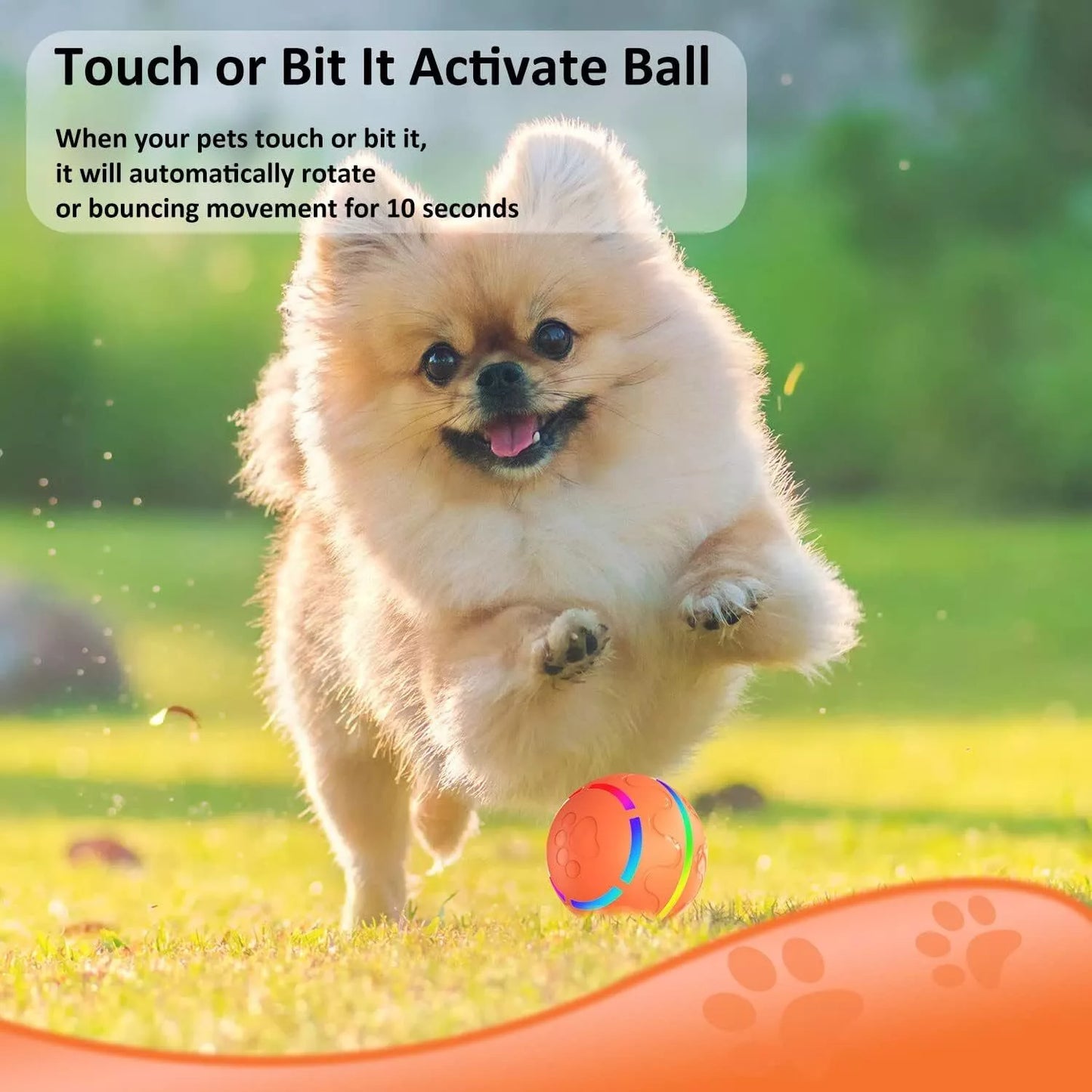 Interactive LED Flash Pet Ball for Dogs with Remote Control – Engaging Dog Toy with Flashing Lights for Active Playtime